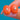 9ct Gold Coral Oval Stud Earrings